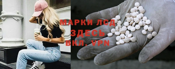 бошки Инта