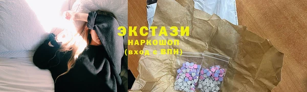 соль ск Инсар