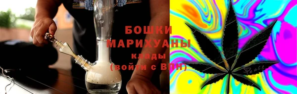 соль ск Инсар