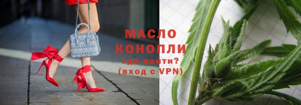 соль ск Инсар