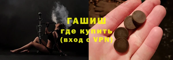соль ск Инсар