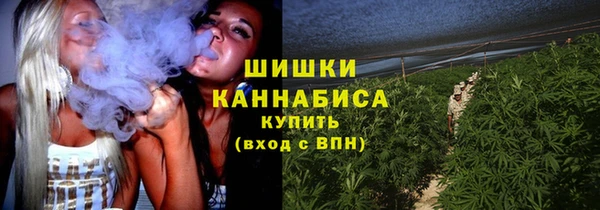 соль ск Инсар