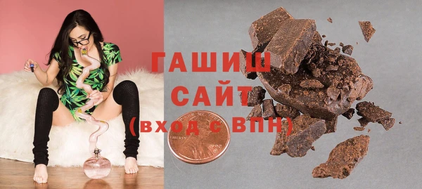 соль ск Инсар