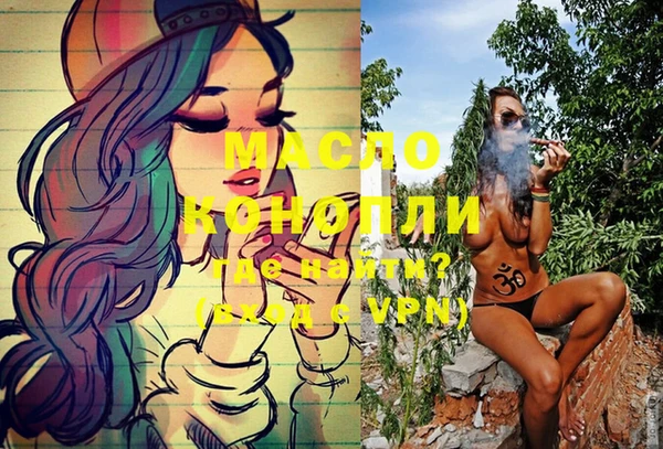 соль ск Инсар