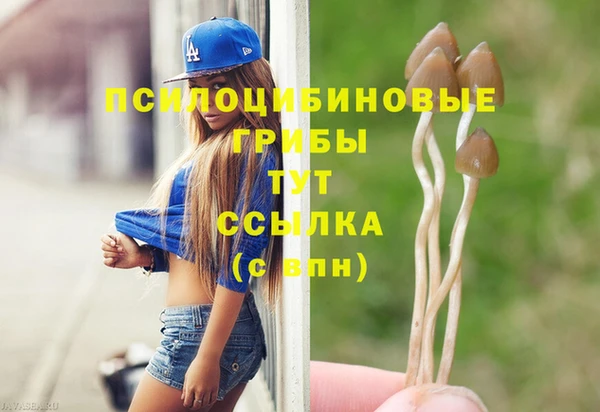 бошки Инта