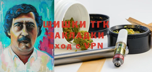 соль ск Инсар