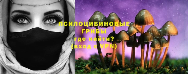 мяу мяу кристалл Иннополис