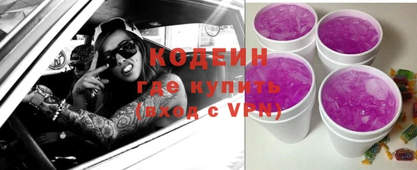 соль ск Инсар