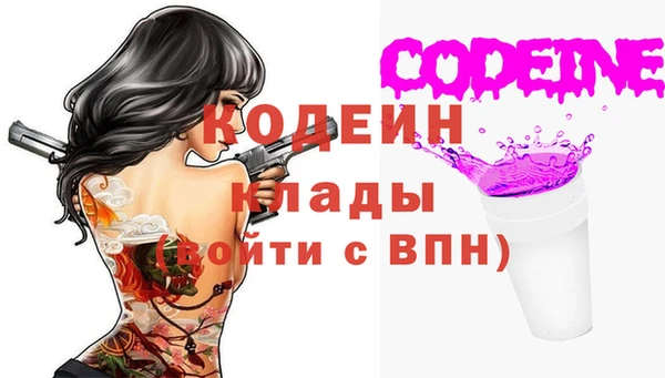бошки Инта