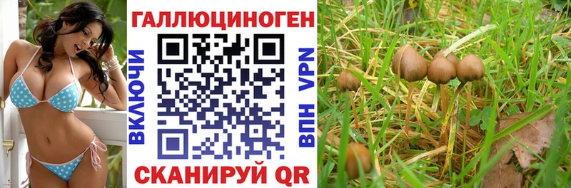 Купить где  Лабытнанги  Галлюциногенные грибы прущие грибы 